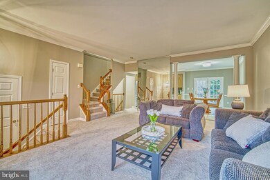 20343 Briarcliff Terrace, Sterling, VA 20165 - photo 6
