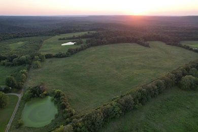 79 Coon Hunters Rd, Golconda No. 2 Precinct, IL 62938 - photo 6