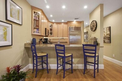 23 Worcester St unit 1, Boston, MA 02118 - photo 4