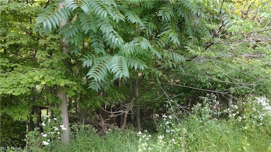 TBD Bryden Rd, Clay, WV 26062 - photo 2