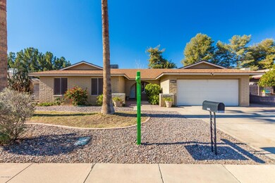 front yard 2