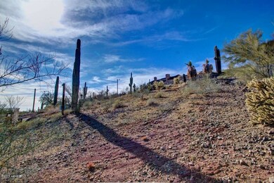 Natural Desert Landscaping