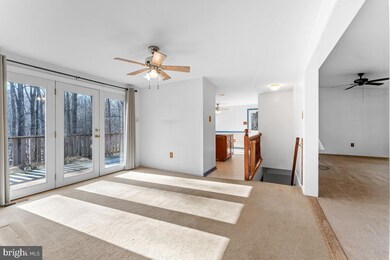 6600 Wilson Rd, Friendship, MD 20758 - photo 7