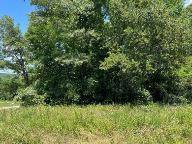 0 5 49 Acres On Meadow Creek Dr, Harrison, AR 72601 - photo 3