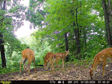 0 Parkinson Rd unit (Tract 8 at Titus), Dexter, OH 45741 - photo 2