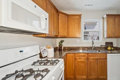 391 Hyde Park Ave unit 207, Roslindale, MA 02131 - photo 6