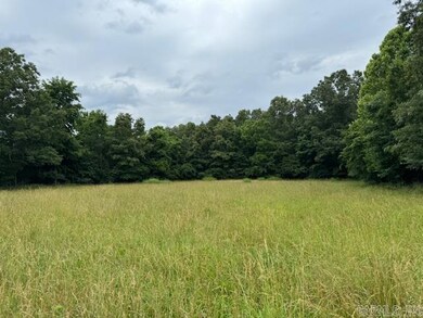 TBD Saienni Rd, Pocahontas, AR 72455 - photo 2