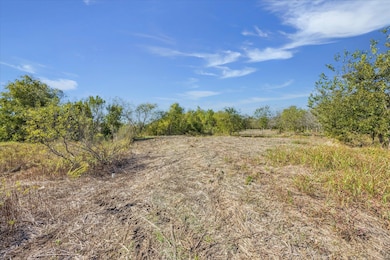 10719 San Jose Ave, Del Valle, TX 78617 - photo 7