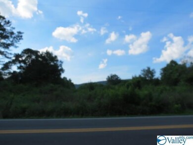 0 Cave Spring Rd unit 1147476, Owens Cross Roads, AL 35763 - photo 2