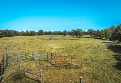DJI_20240908110402_0002_D