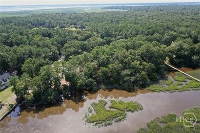 2061 Belle Island Rd, Richmond Hill, GA 31324 - photo 3