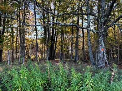 0 County Road 29, South Edmeston, NY 13411 - photo 7