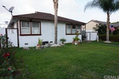 Frontyard Landscape