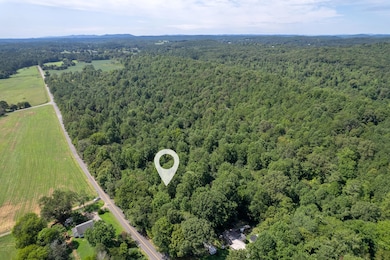 Tract 7 Old Dalton Cleveland Hwy, Cohutta, GA 30710 - photo 5