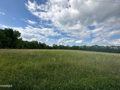 IMG_0208