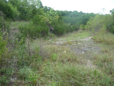 Tbd Ramona Ln, Ruth B Rural Township, MO 65686 - photo 3