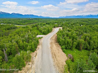 07-DJI_0403