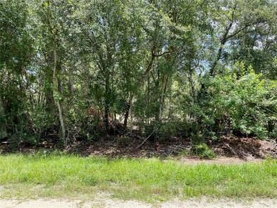 27282 Treadmill Dr, Punta Gorda, FL 33955 - photo 4