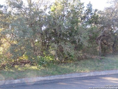 11222 Blue Waters, Helotes, TX 78023 - photo 3