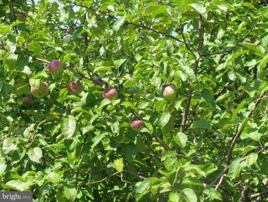 0 A Orchard Point unit 1004622112, Levels, WV 25431 - photo 7