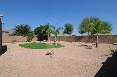 Backyard2