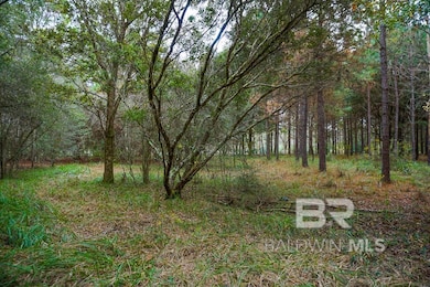 0 Smith Young Rd, Mobile, AL 36695 - photo 6