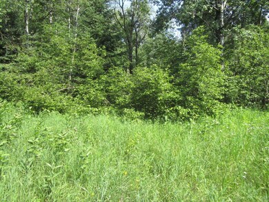 ON Peninsula Dr, Phillips, WI 54555 - photo 6