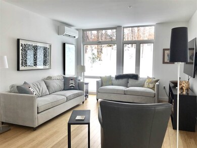 20 Morgan Dr unit 30, Lebanon, NH 03766 - photo 6