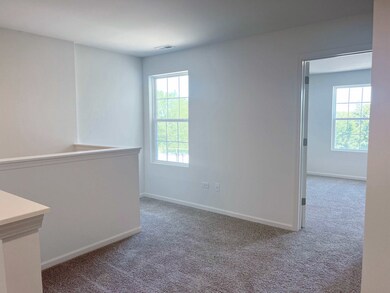 323 Monte Carlo Way, Joliet, IL 60436 - photo 7