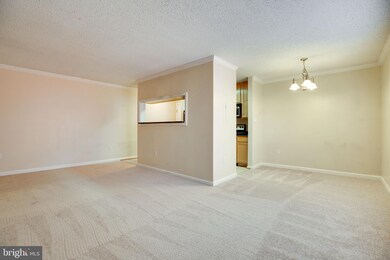 15508 Horseshoe Ln unit 508, Woodbridge, VA 22191 - photo 4