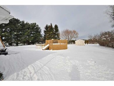 Yard/Garden