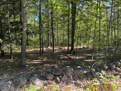 0 Farrington Corner Rd unit 14, Hopkinton, NH 03229 - photo 2