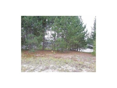 Lot 43-A Medway Rd, Millinocket, ME 04462 - photo 3