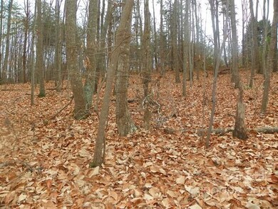 4221 Pinto Ln, Gastonia, NC 28052 - photo 6