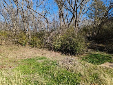 TBD W Heron St, Denison, TX 75020 - photo 3