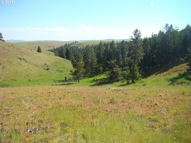 0 Rail Canyon Rd unit 17074578, Joseph, OR 97846 - photo 6