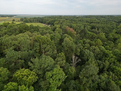 2750 Nortonville Rd, Franklin, IL 62638 - photo 5