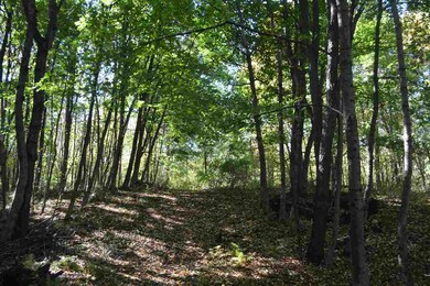 49 Fairview Dr unit 24-1, Pittsfield, NH 03263 - photo 4