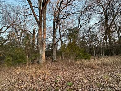 10 Stone Bluff Dr, Tahlequah, OK 74464 - photo 6