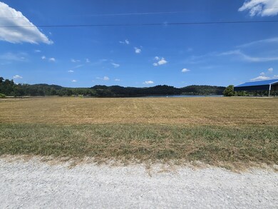 2427 Hardin Bottom River Rd, Clifton, TN 38425 - photo 6