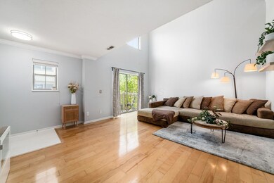 living room 1