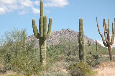 View of Troon Mountain