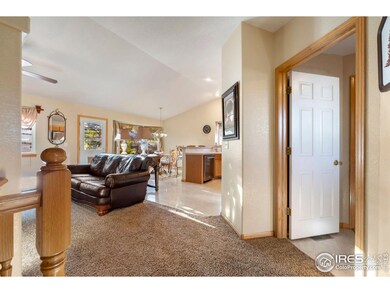 623 Foxtail Way, Severance, CO 80550 - photo 6