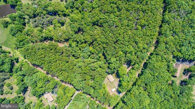 165 Whiskey Still Rd, Berkeley Springs, WV 25411 - photo 5