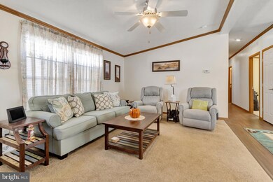 21741 D St unit 55088, Rehoboth Beach, DE 19971 - photo 5