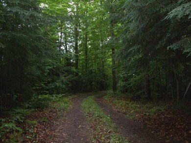 Enter through a tunnel of trees...