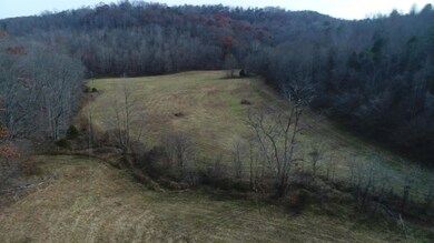 2499 Piney Grove Rd, Somerset, KY 42501 - photo 4
