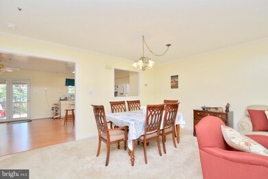 14210 Plum Run Way, Silver Spring, MD 20906 - photo 6