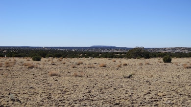 0 Chestnut Ln, Concho, AZ 85924 - photo 7