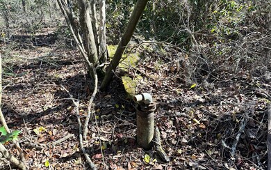 old well on property